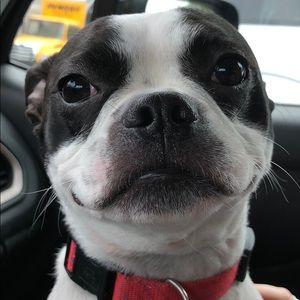 Meet your Posher, Sean